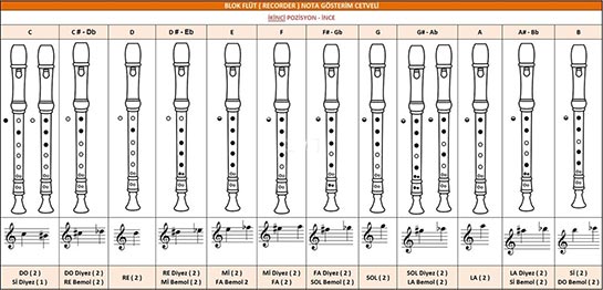 Blok Flüt Notaları