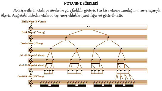 Nota Deerleri